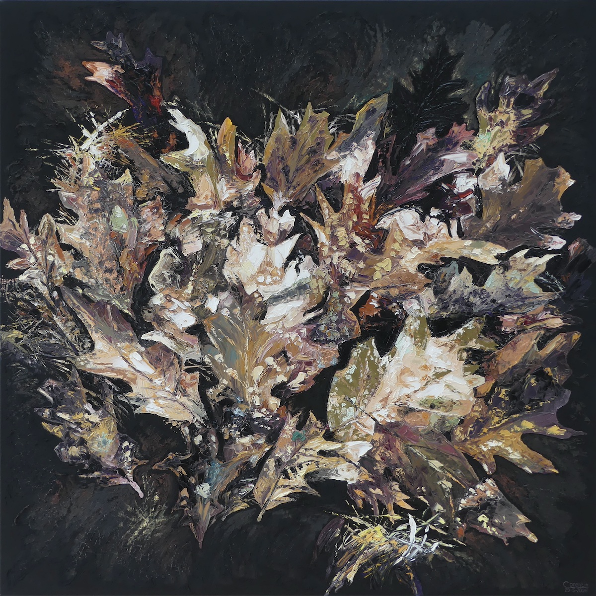 Fallen leaves