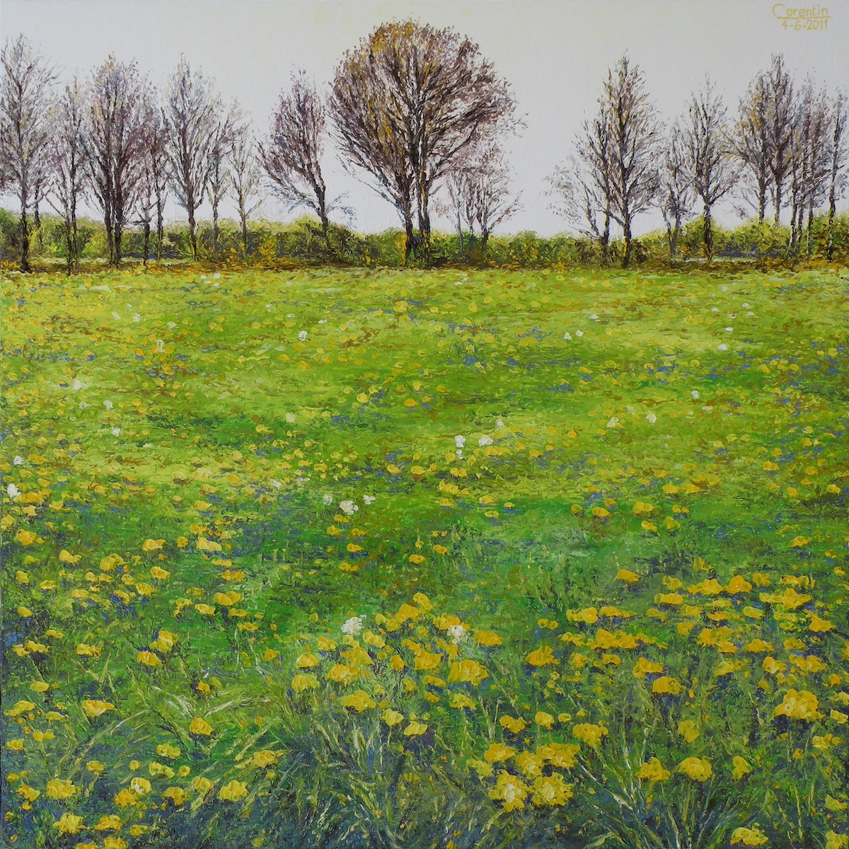Flowers in <br>the meadow
