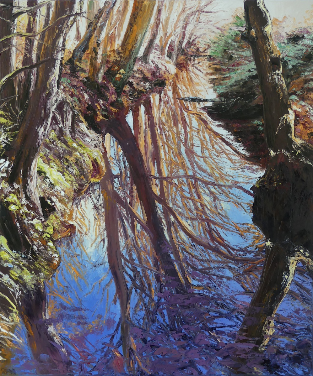 Forest reflections