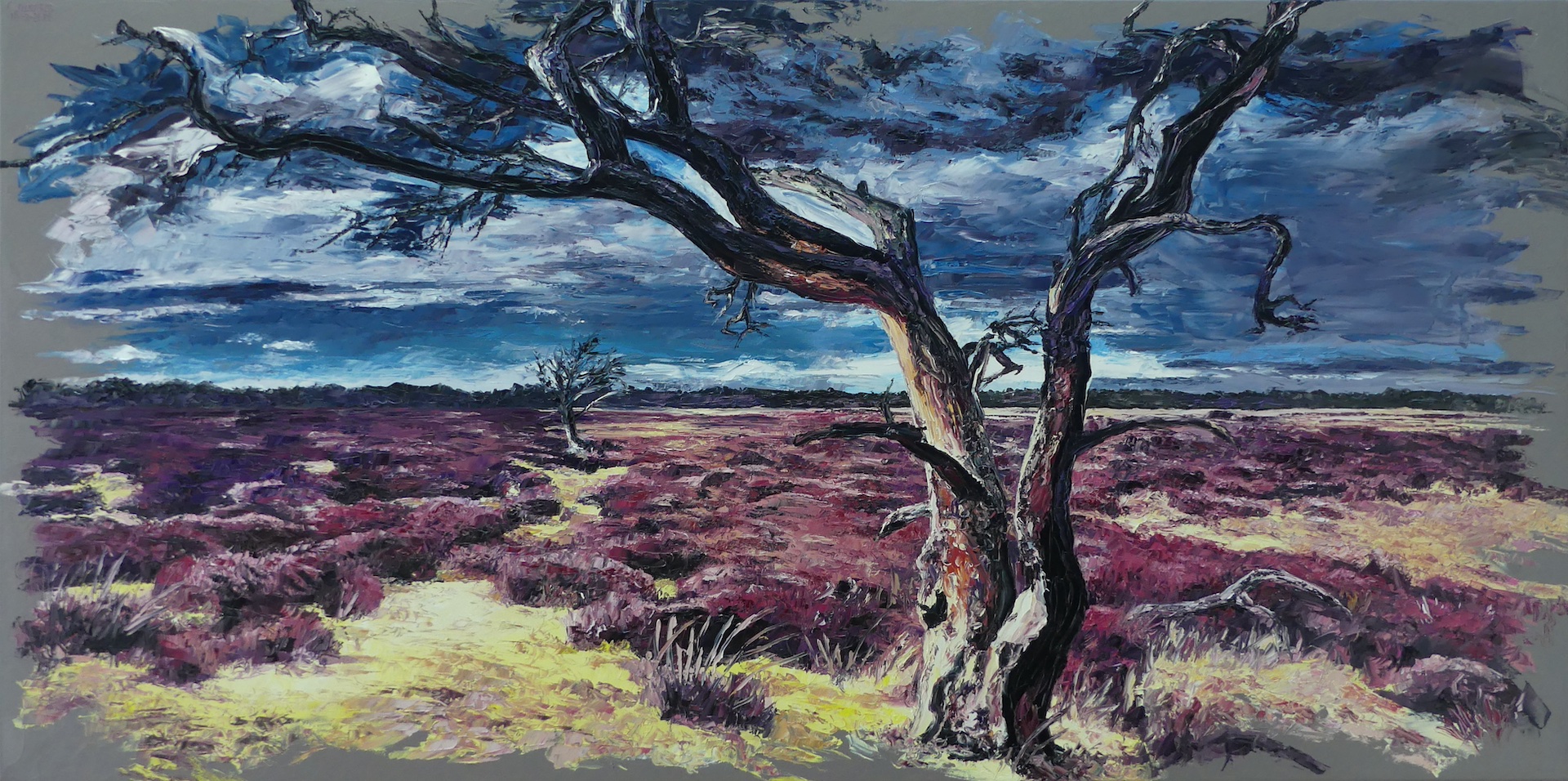Heathland of Kalmthout
