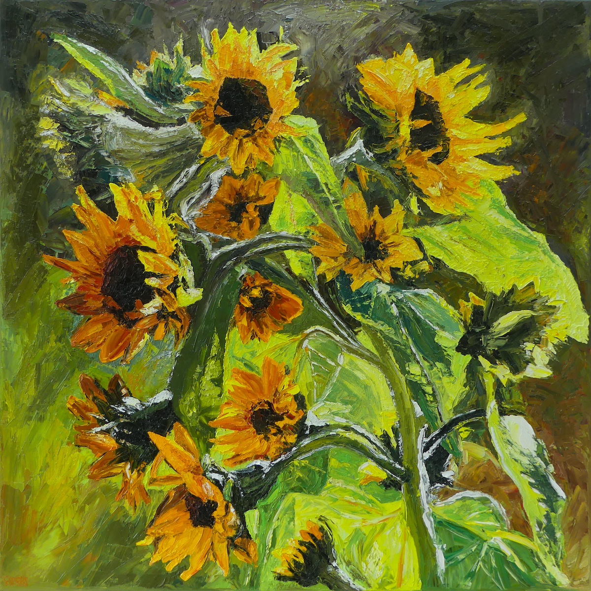 Sunflowers