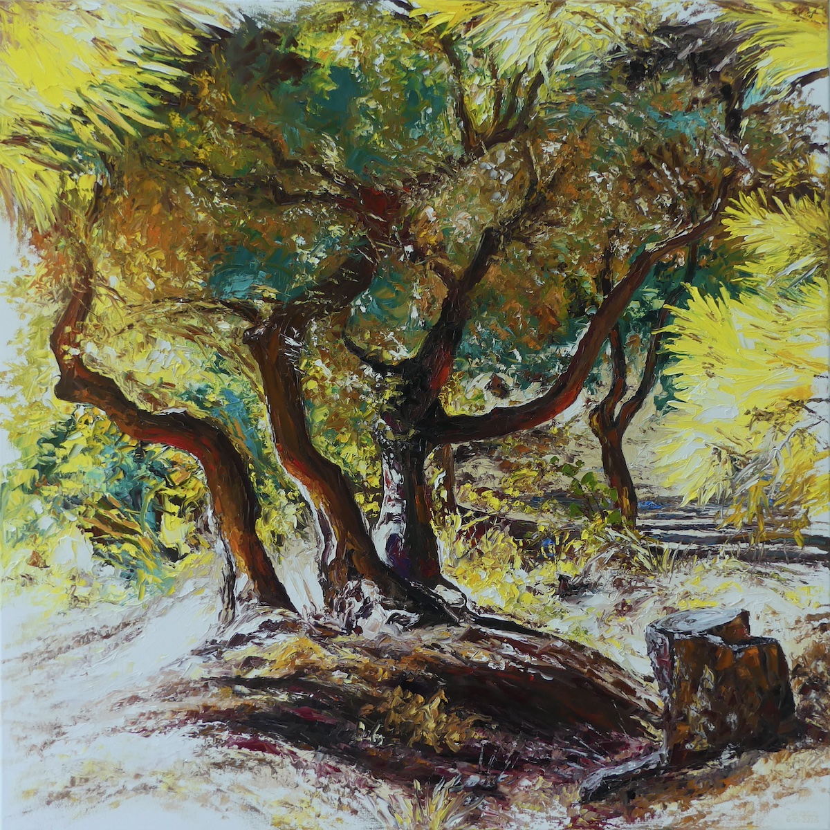 Sunny trees