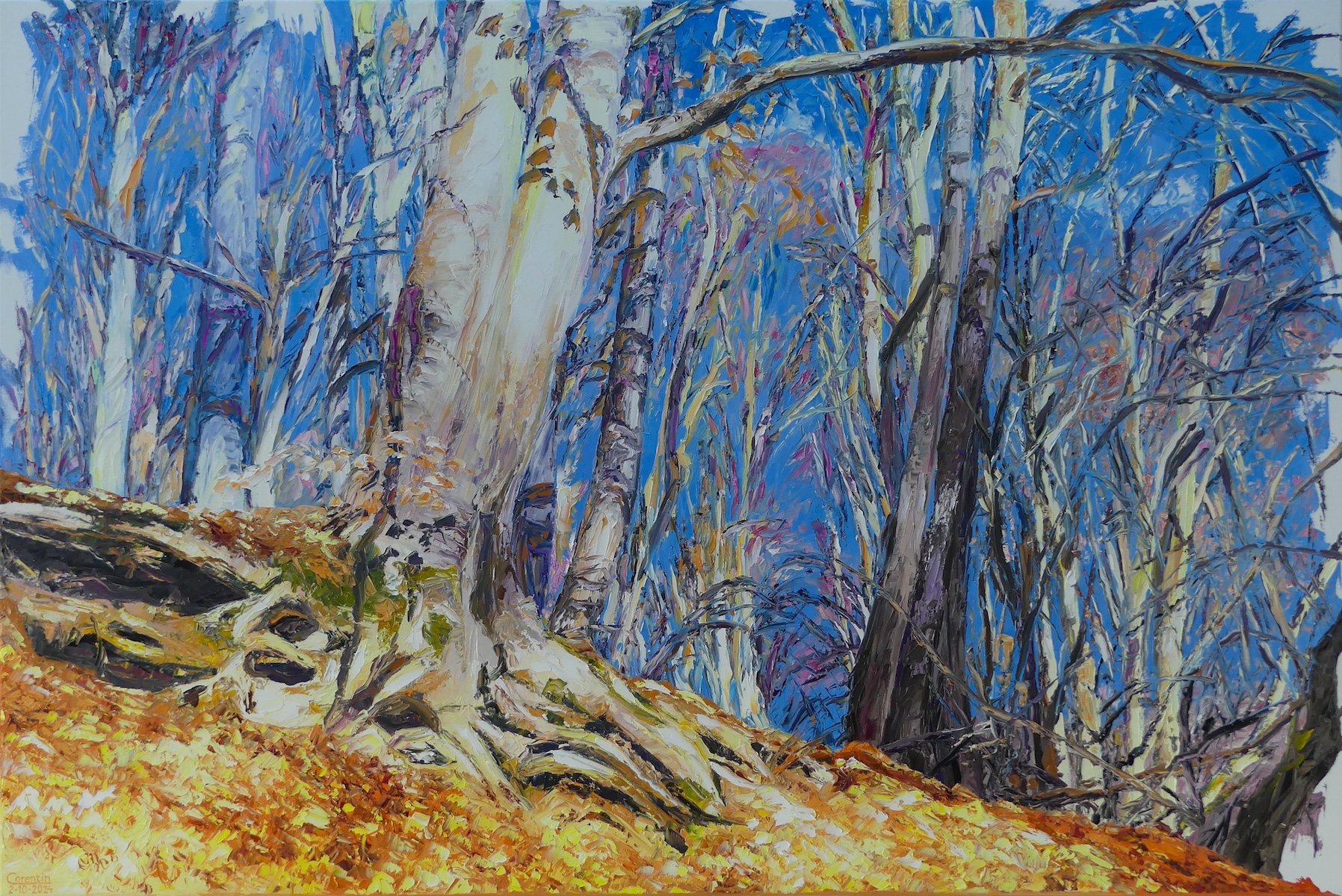 Sunshine <br>in the forest