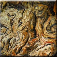 Beweging der gedrochten