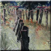 Fences in the meadow