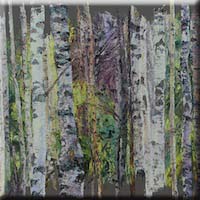 Many birches