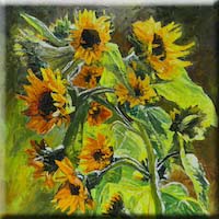 Sunflowers