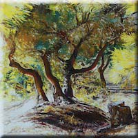 Sunny trees