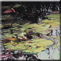 Water lilies Two