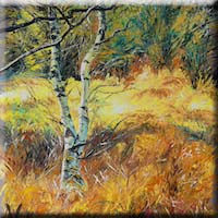 Treeshine,  grass shine,  sunshine