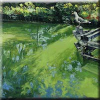 Water reflections