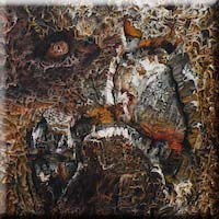 What are you looking at?