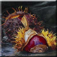 Wild chestnuts