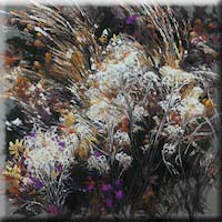 Wild flowers